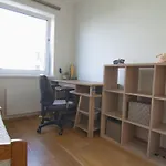 Bright 3-Room Apartment In Mustamaee